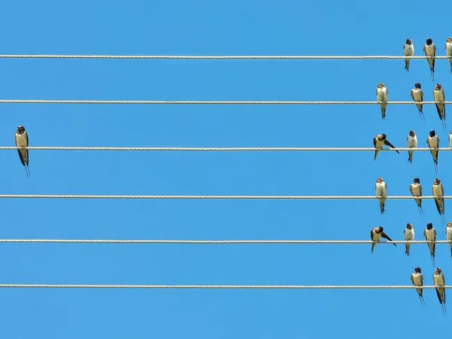 individuality